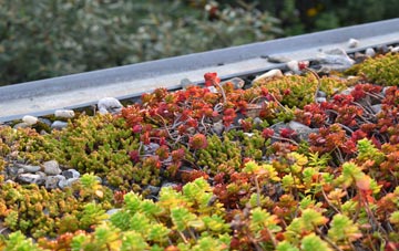 the cost of Chapelhall green roof installation