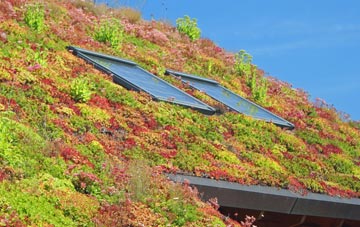 Chapelhall living roof systems