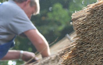 professional Chapelhall thatchers